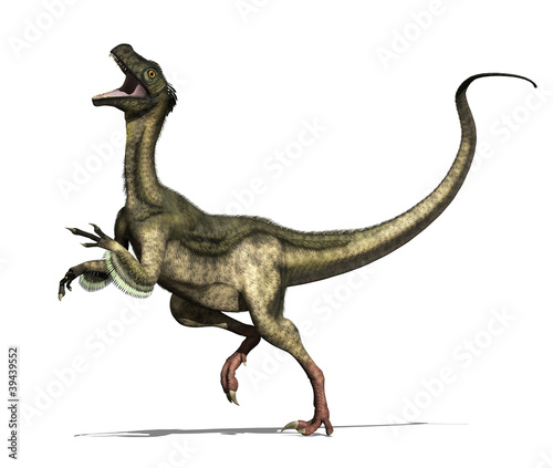 Ornitholestes Dinosaur photo