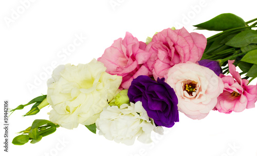 bouquet of eustoma flowers © neirfy
