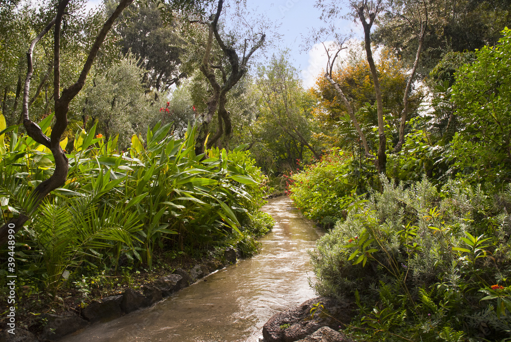 Stunning tropical Garden on Volcanic Isle of Ischia Italy Stunning tropical Garden on Volcanic Isle of Ischia Italy