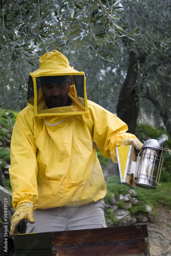 Beekeeper opened bee hive Beekeeper opened bee hive