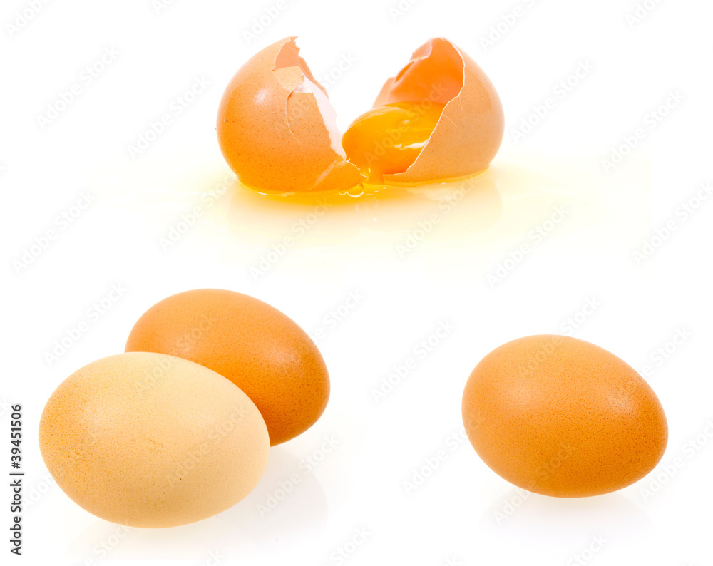 Egg Egg