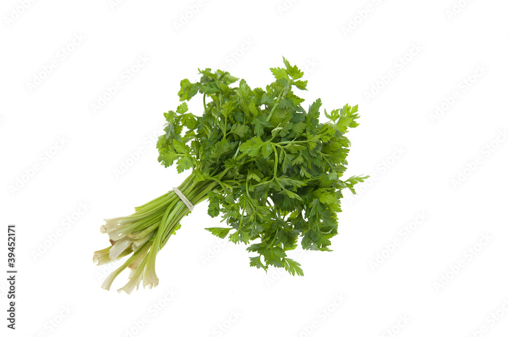 Vegetable Vegetable