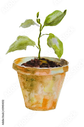 Watercolor illustration of Sprout in a pot