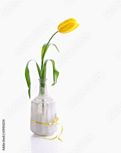 yellow tulip in white bottle