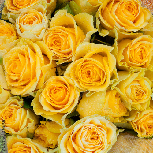yellow roses