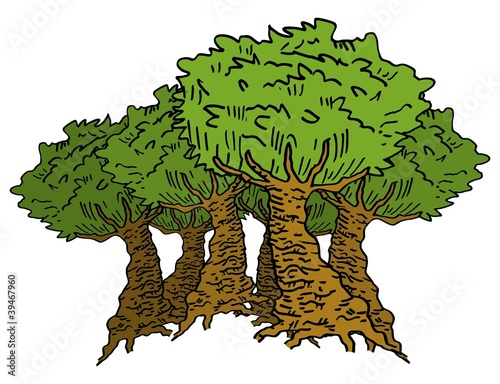 Bosque
