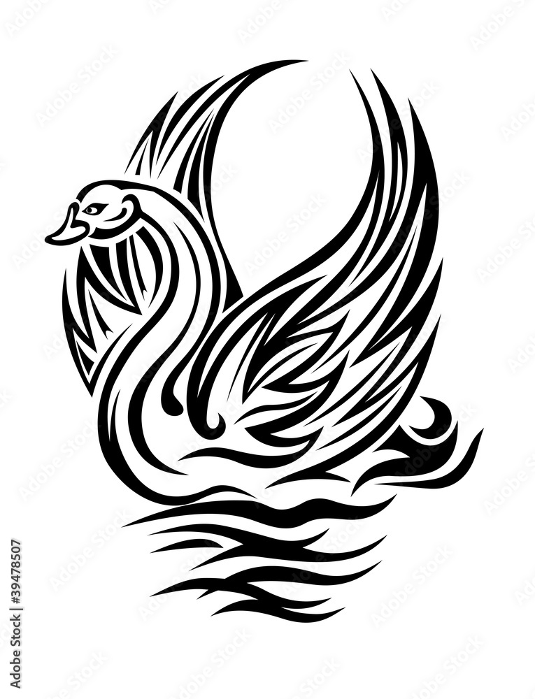 Fototapeta premium Swan bird