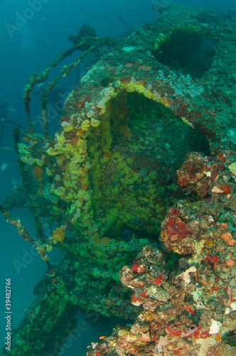 Fototapeta Naklejka Na Ścianę i Meble -  A shipwreck lying on its side encrusted with orange cup coral