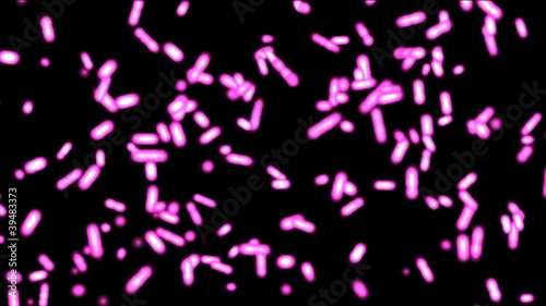 Bacteria in puple color in animation