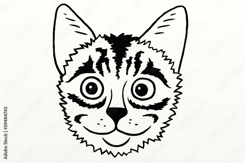Fototapeta premium katzenkopf