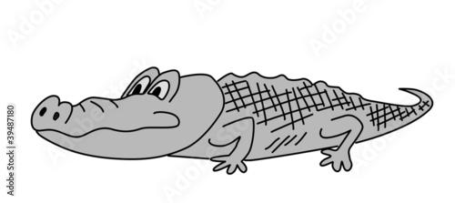 gray crocodile on white background