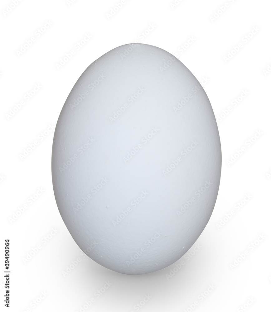 white egg isolated on white with clipping path white egg isolated on white with clipping path