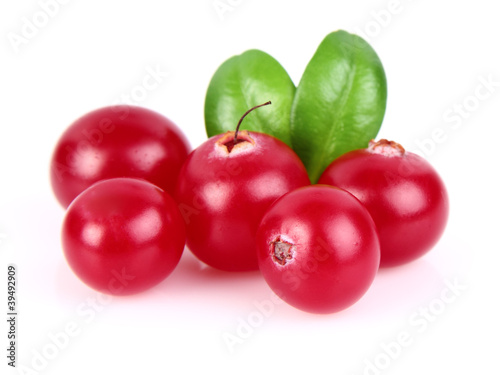 Juicy cranberry with leaves