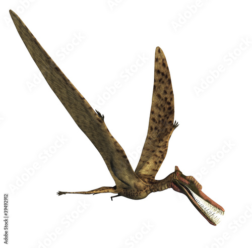 Naklejka Dinozaur Zhenyuanopterus