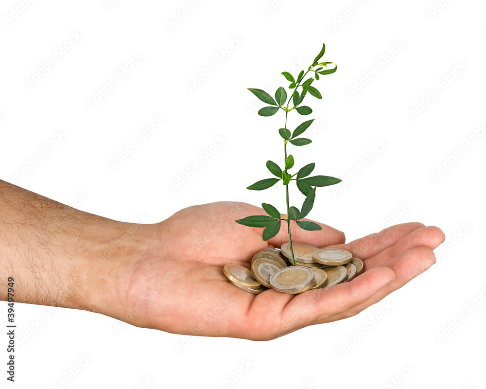 Palm with a tree growng from pile of coins Palm with a tree growng from pile of coins