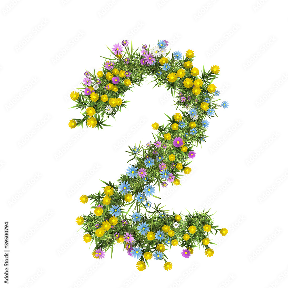 Number 2, flower alphabet isolated on white