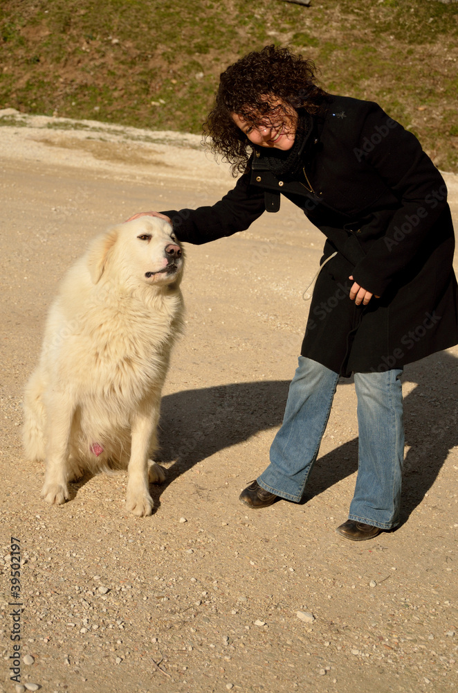 Caressing the dog Caressing the dog