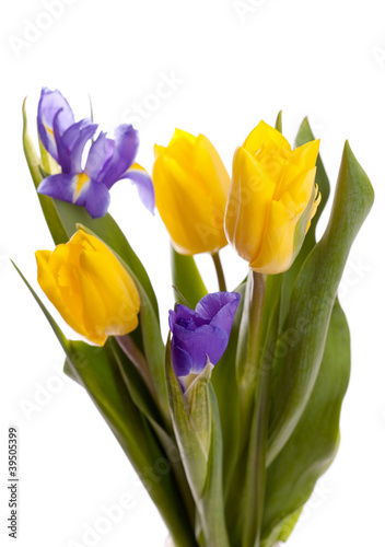Bunch of beautiful yellow tulips and irises on white background