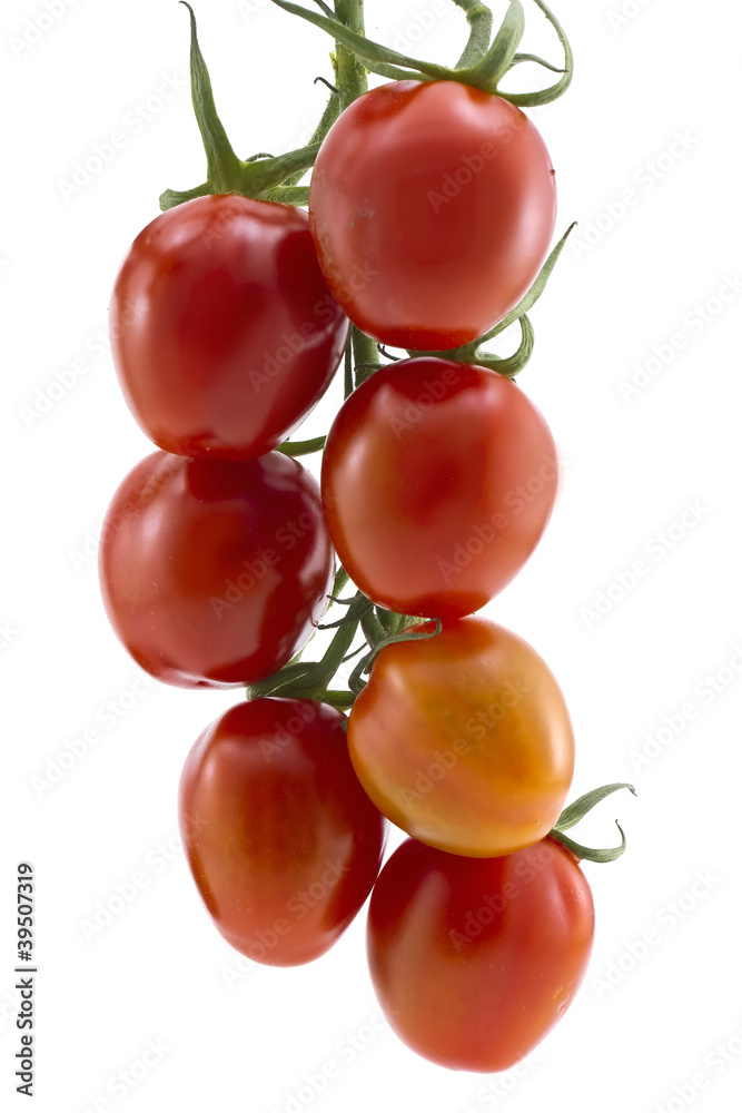 Branch of cherry tomatoes Branch of cherry tomatoes