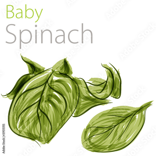 Baby Spinach