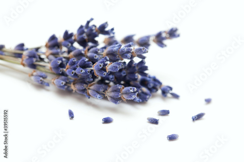 Fototapeta Naklejka Na Ścianę i Meble -  bunch of lavender isolated on white