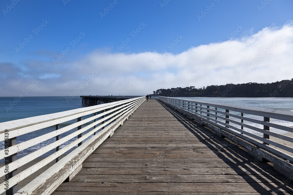 Long Pier at San Simeon Beach, California.