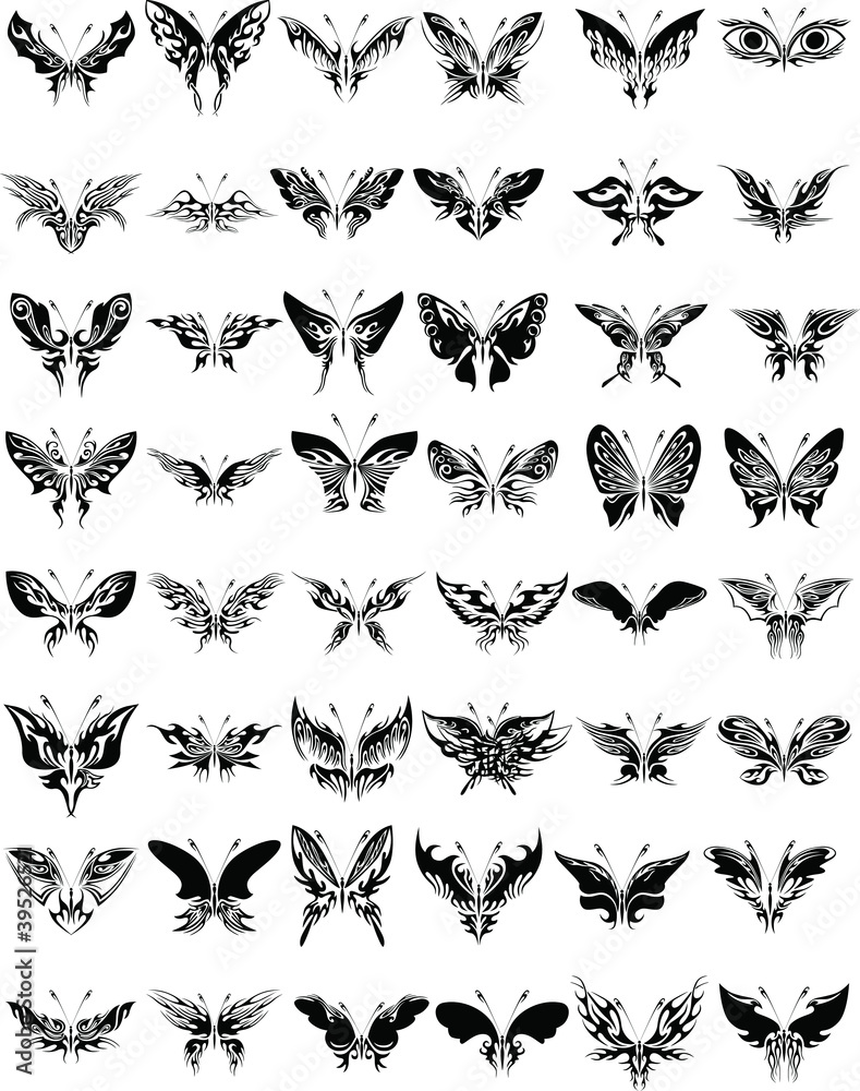 Fototapeta premium Butterflies Collection