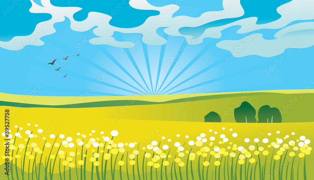 Obraz premium Summer landscape