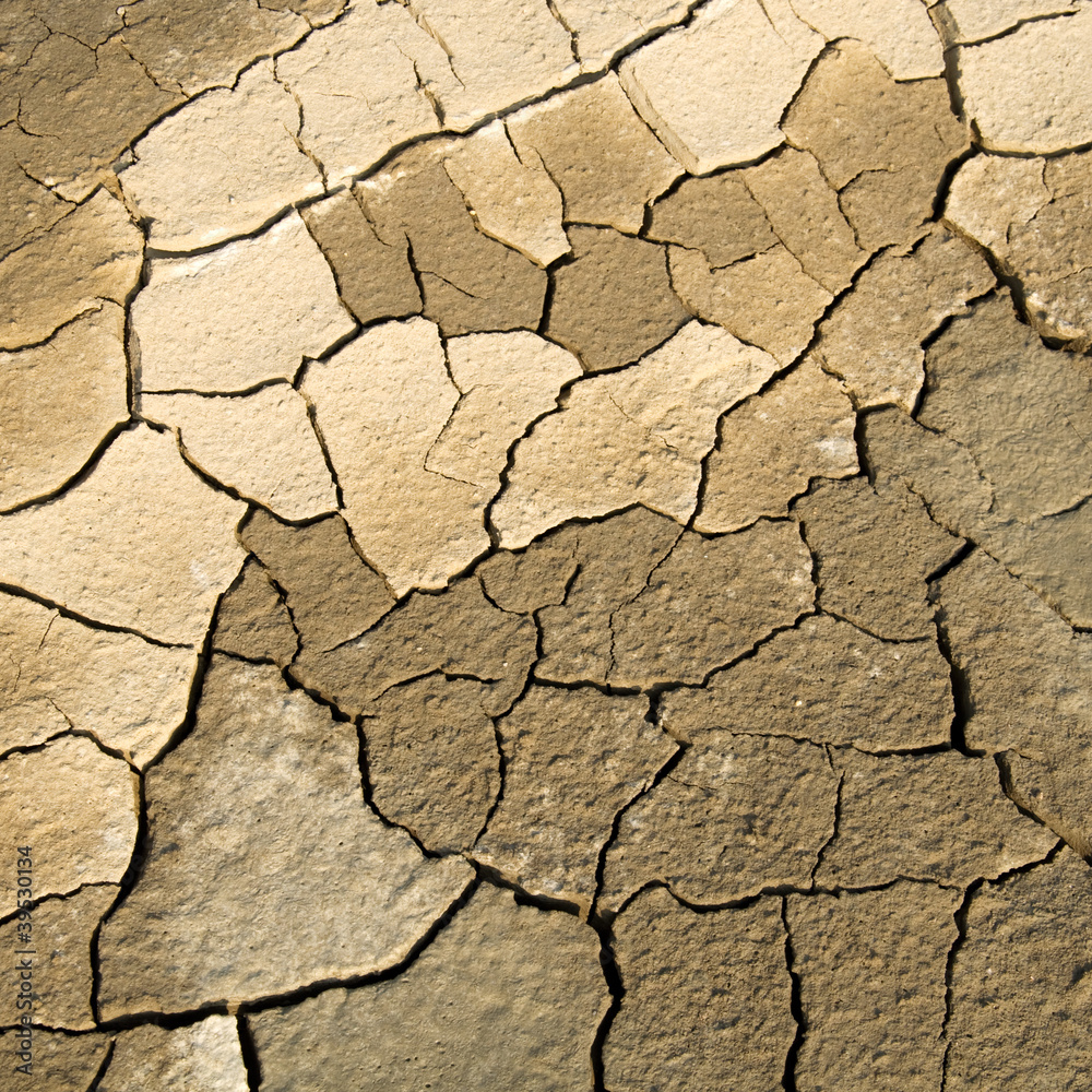 dried soil dried soil