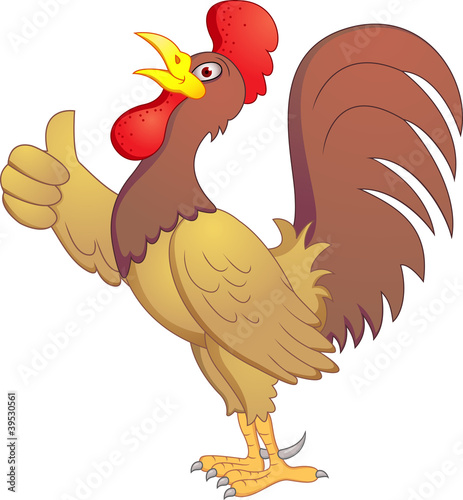Rooster Cartoon