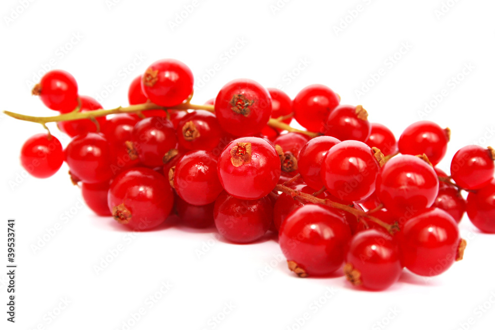 Red currants