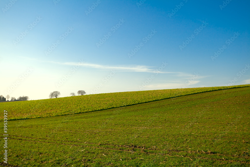 green and blue