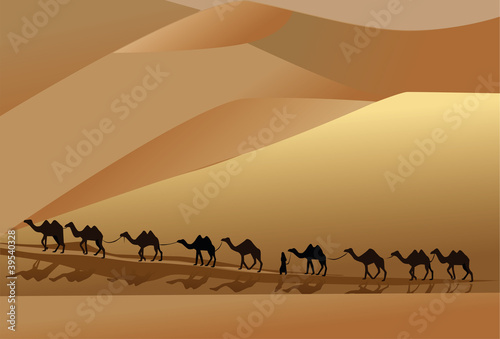 camel in desert