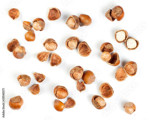 Filbert nut