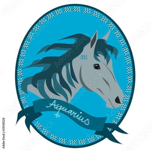 Horse zodiac - Aquarius