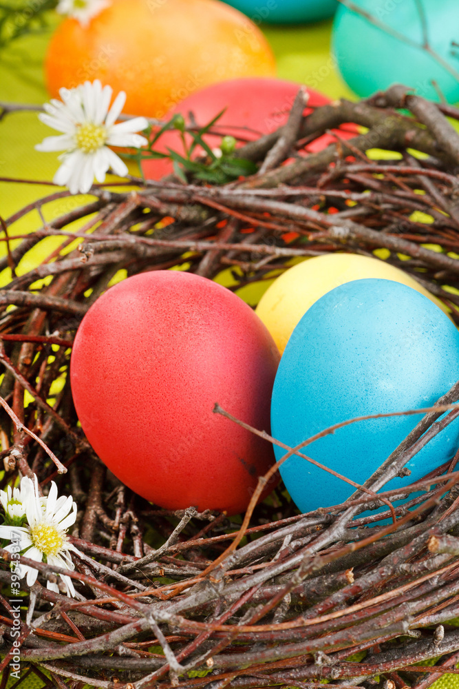 Obraz premium Easter eggs in a nest