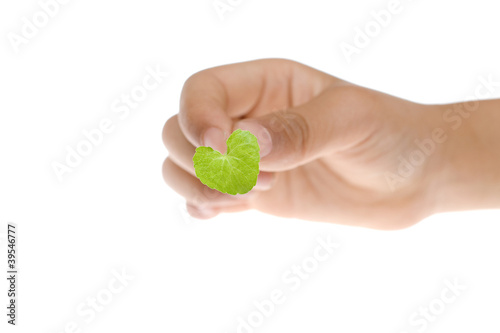 Hand Holding Heart-shaped Leaf