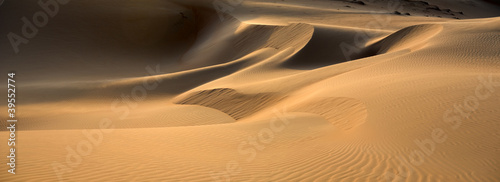 Foto Abu Dhabi's desert dunes