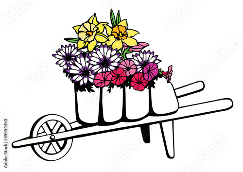 Wheel barrow full of flowers