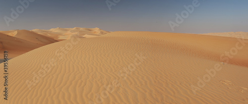 Abu Dhabi's desert dunes