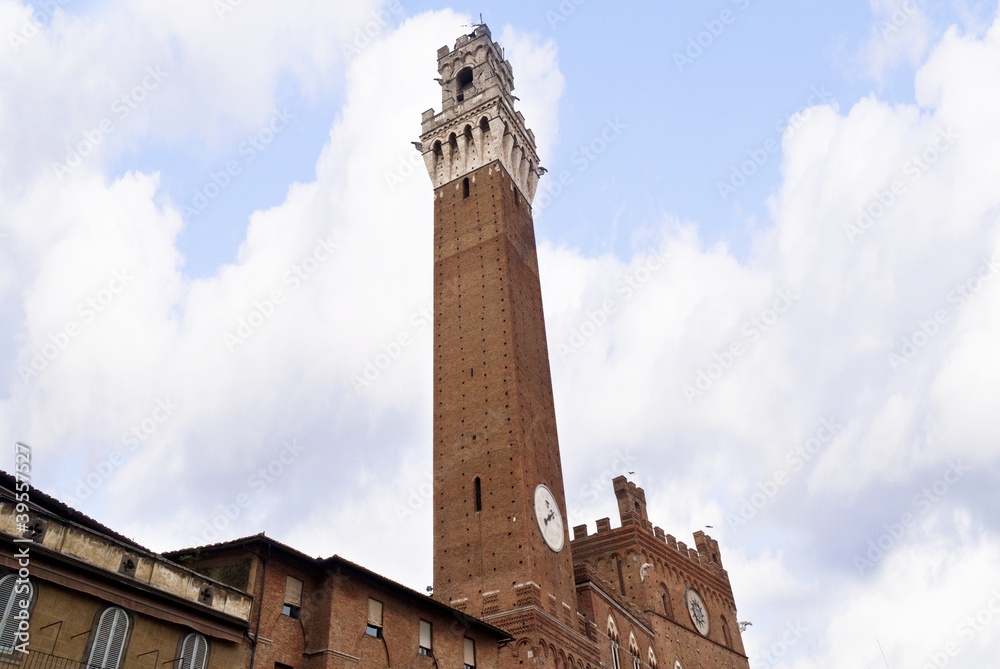 Obraz premium Torre del Mangia and the Piazza del Campo Siena Italy