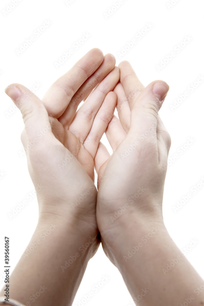 Two hands with the combined palms last forward Two hands with the combined palms last forward
