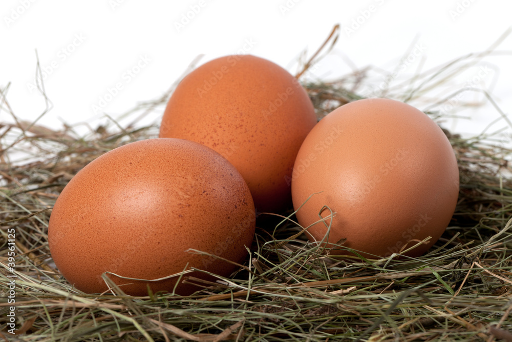 Chicken eggs in nest Chicken eggs in nest