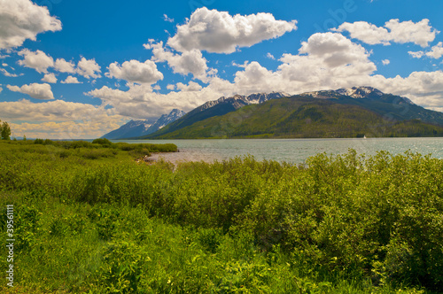 Jackson Lake Landscape
