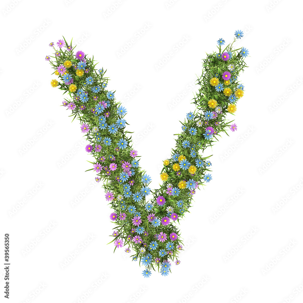 Letter V, flower alphabet isolated on white