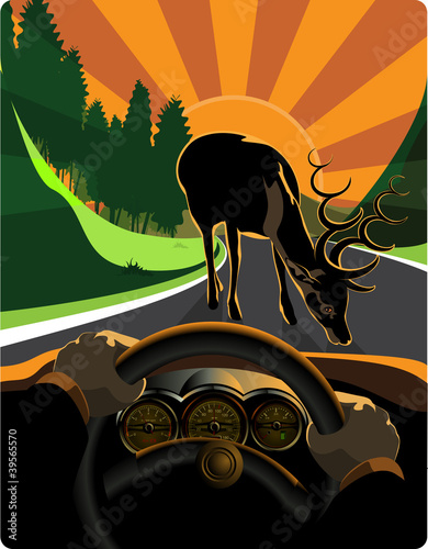 the driver dodging road hazards