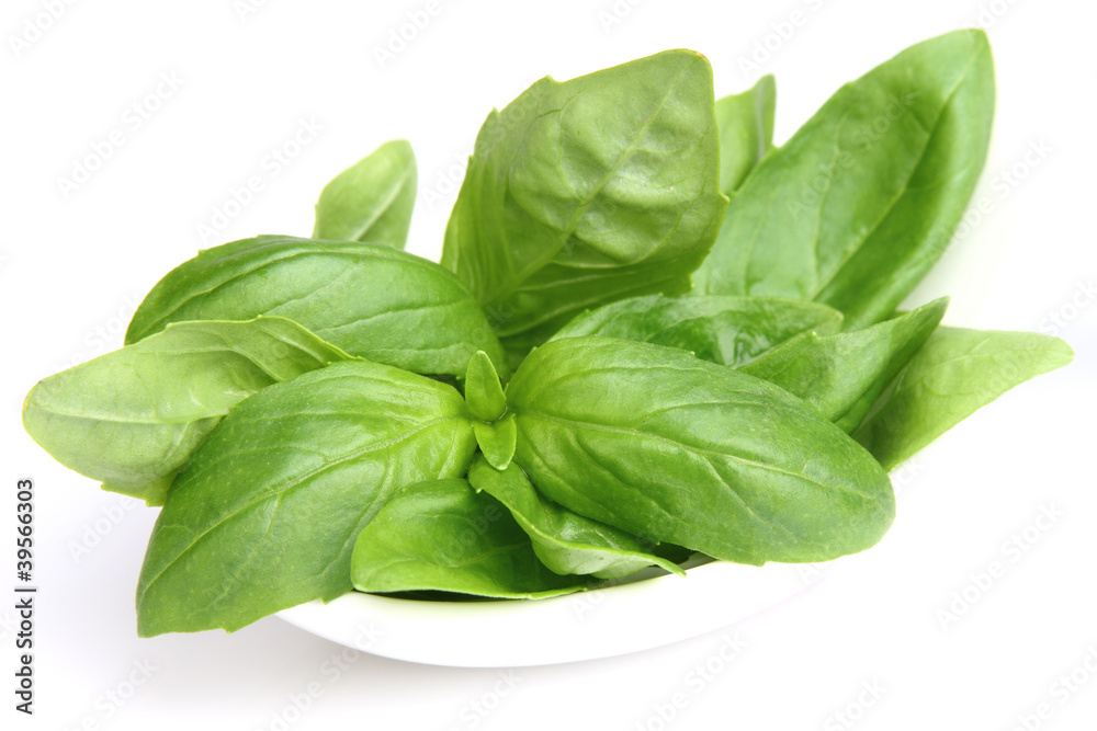 Fresh basil Fresh basil