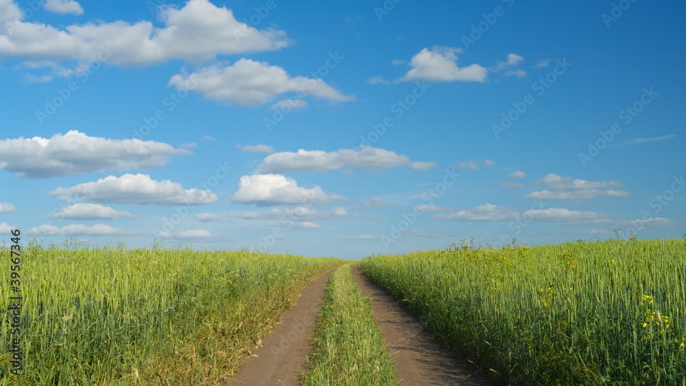 Dirt road through the green agricultural field, timelapse Dirt road through the green agricultural field, timelapse