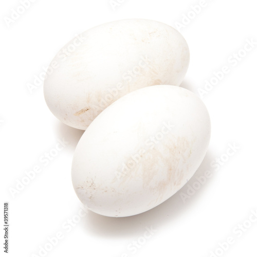 Goose eggs isolated on a white studio background.