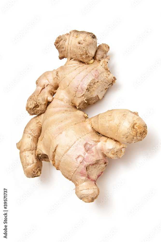 Root Ginger isolated on a white studio background.